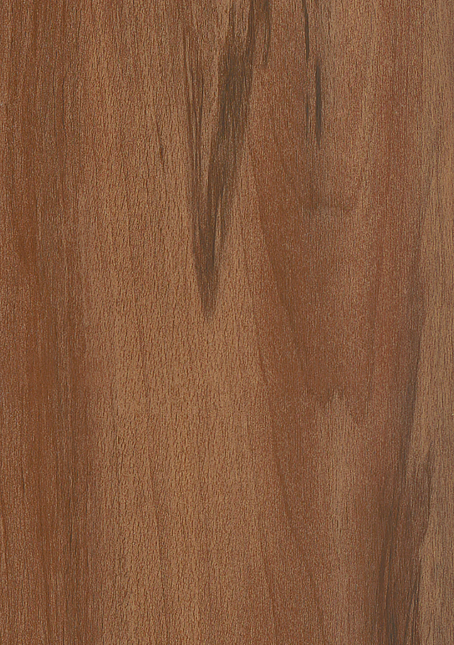 MiPlank - Image 3