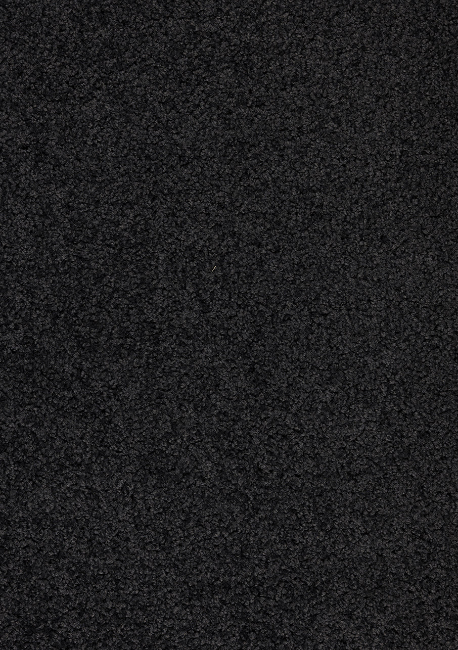 Miro - Image 11