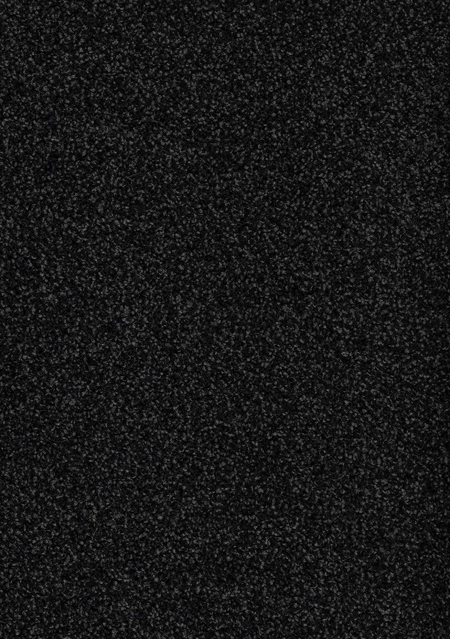 Miro - Image 13