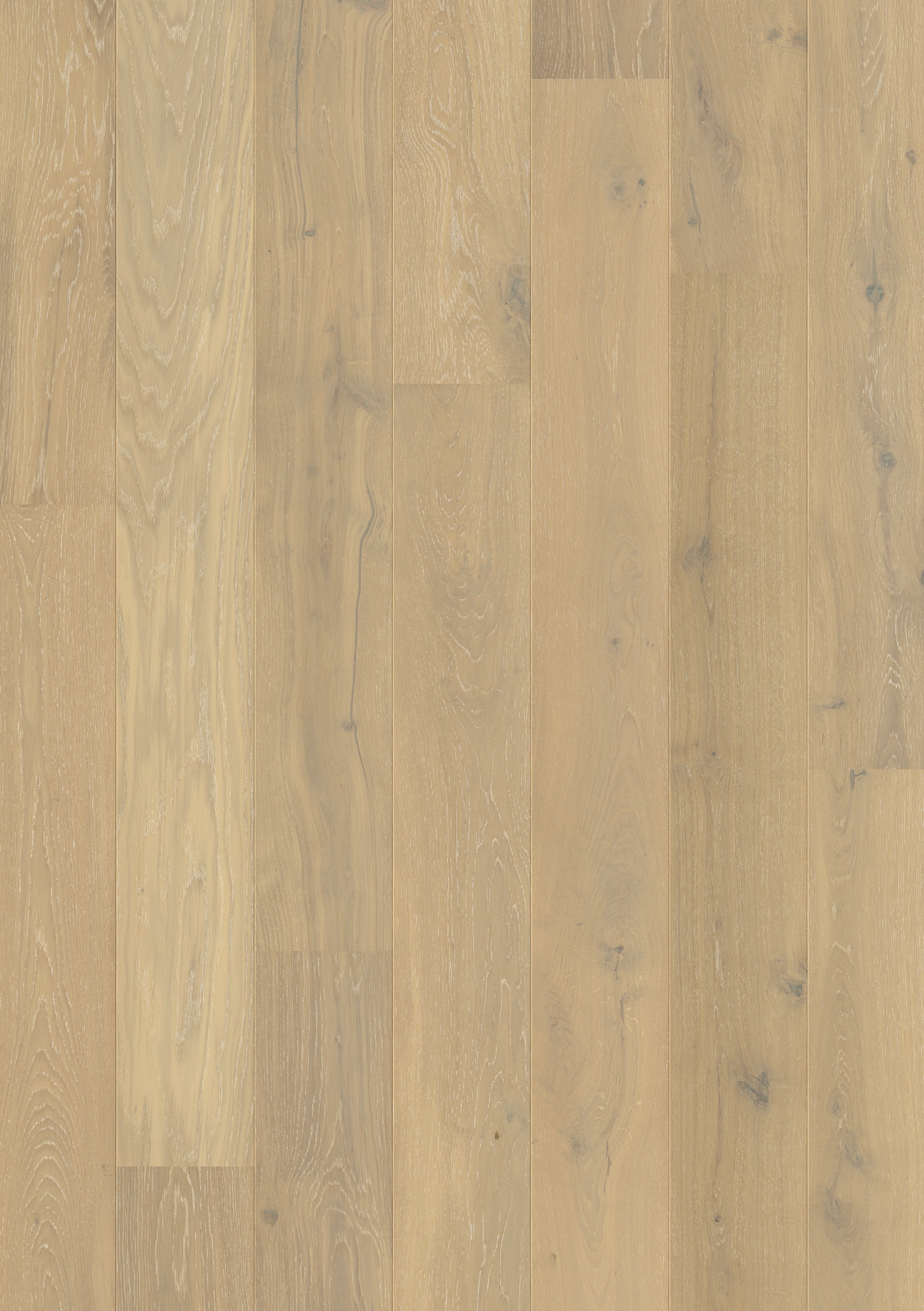 Nature's Oak - Image 13
