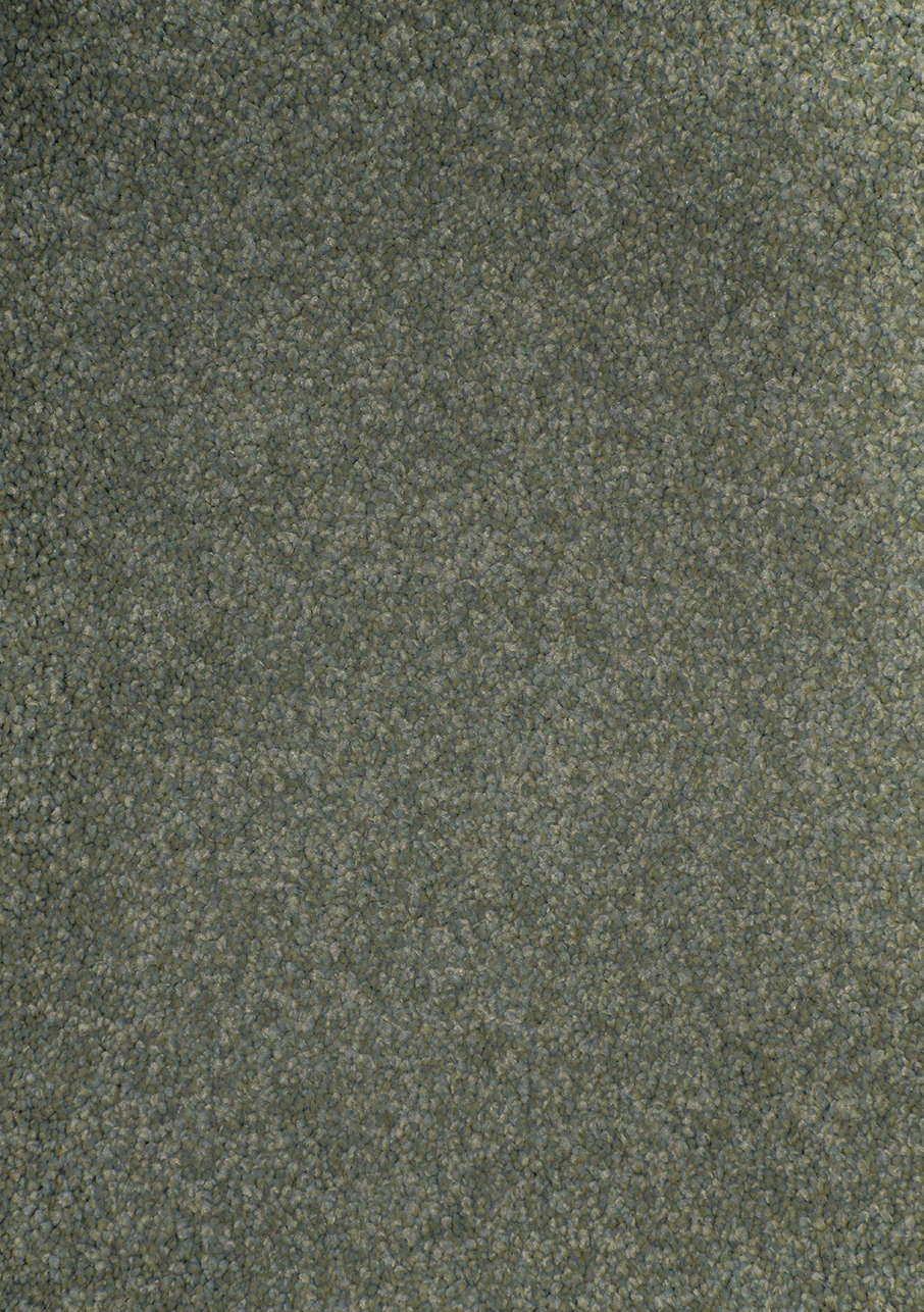 Nikau - Image 11