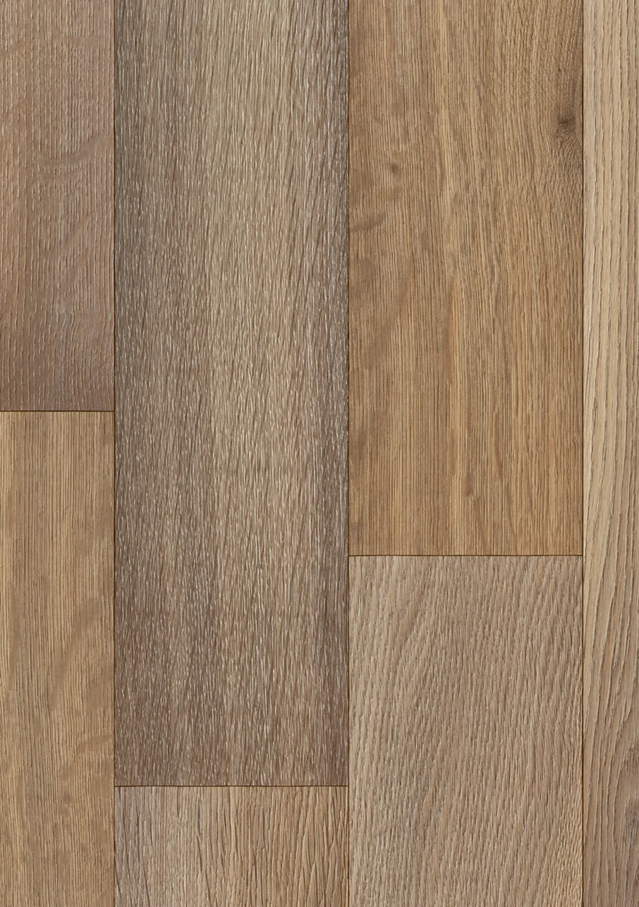 Nova - Image 3