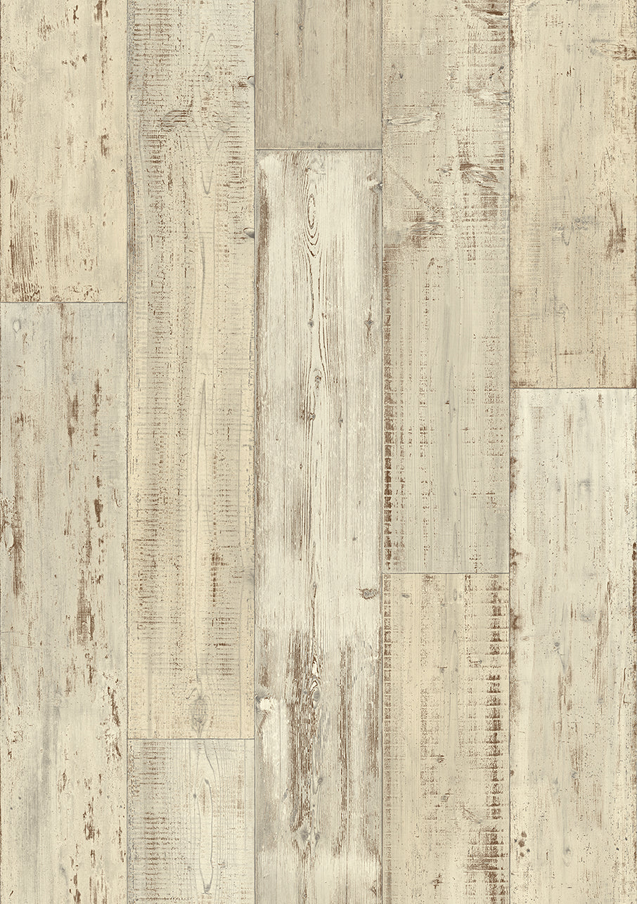 Novo - Image 6