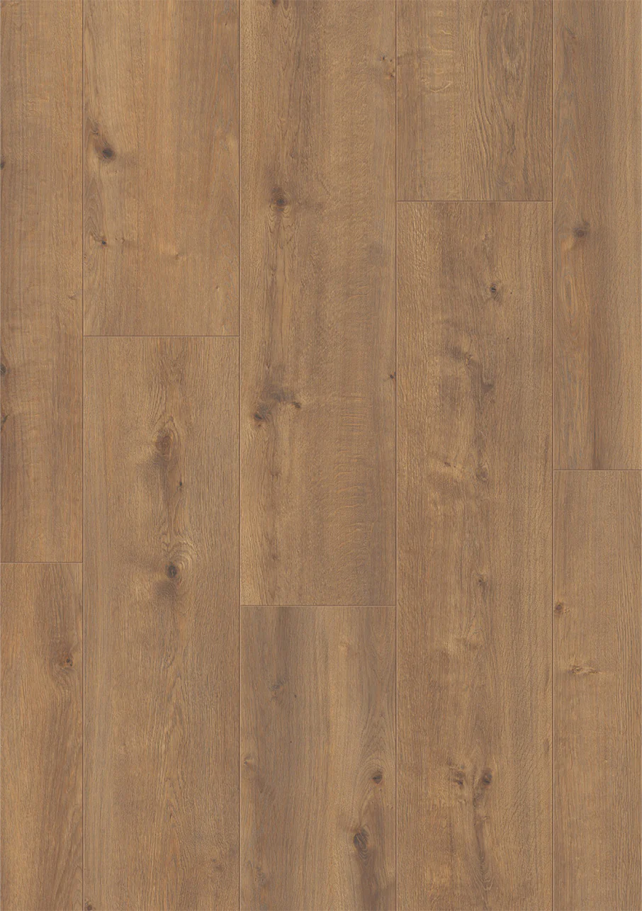 Oasis Wide - Image 15