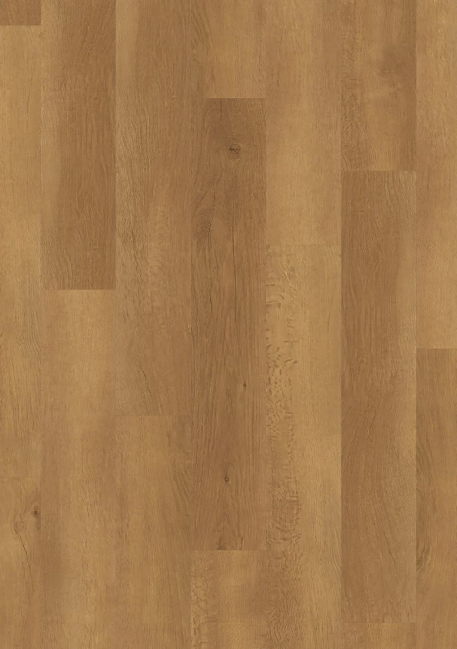 Opus Plank - Image 4
