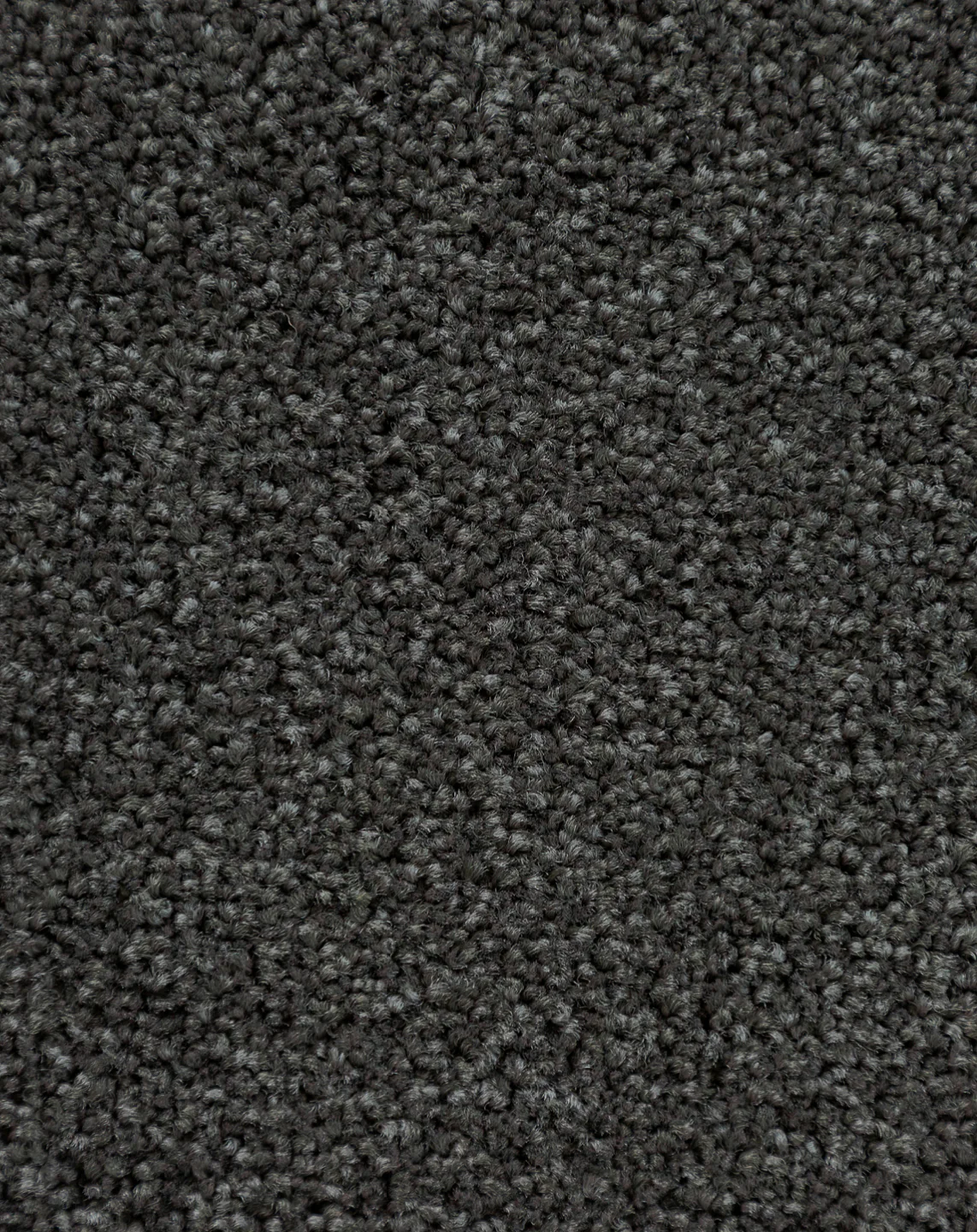 Paihia - Image 3