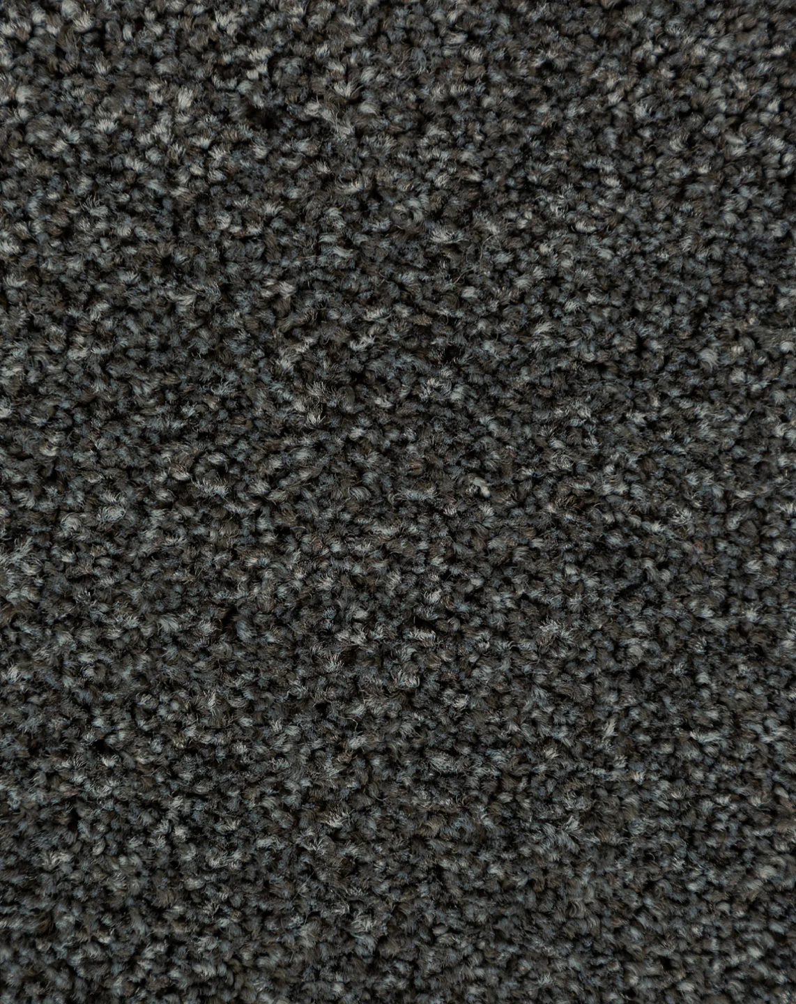 Paihia - Image 8