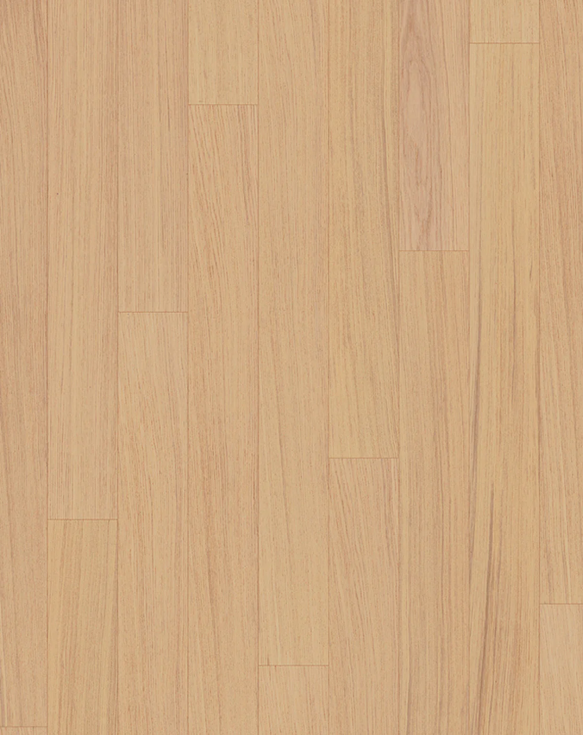 Parky Deluxe - Image 3