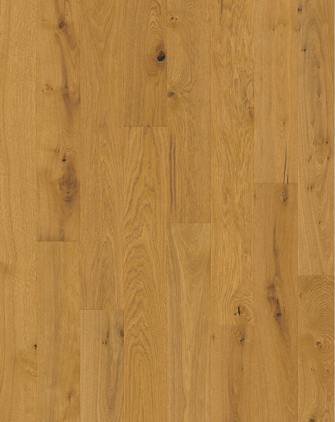 Pergo Harstena - Image 3