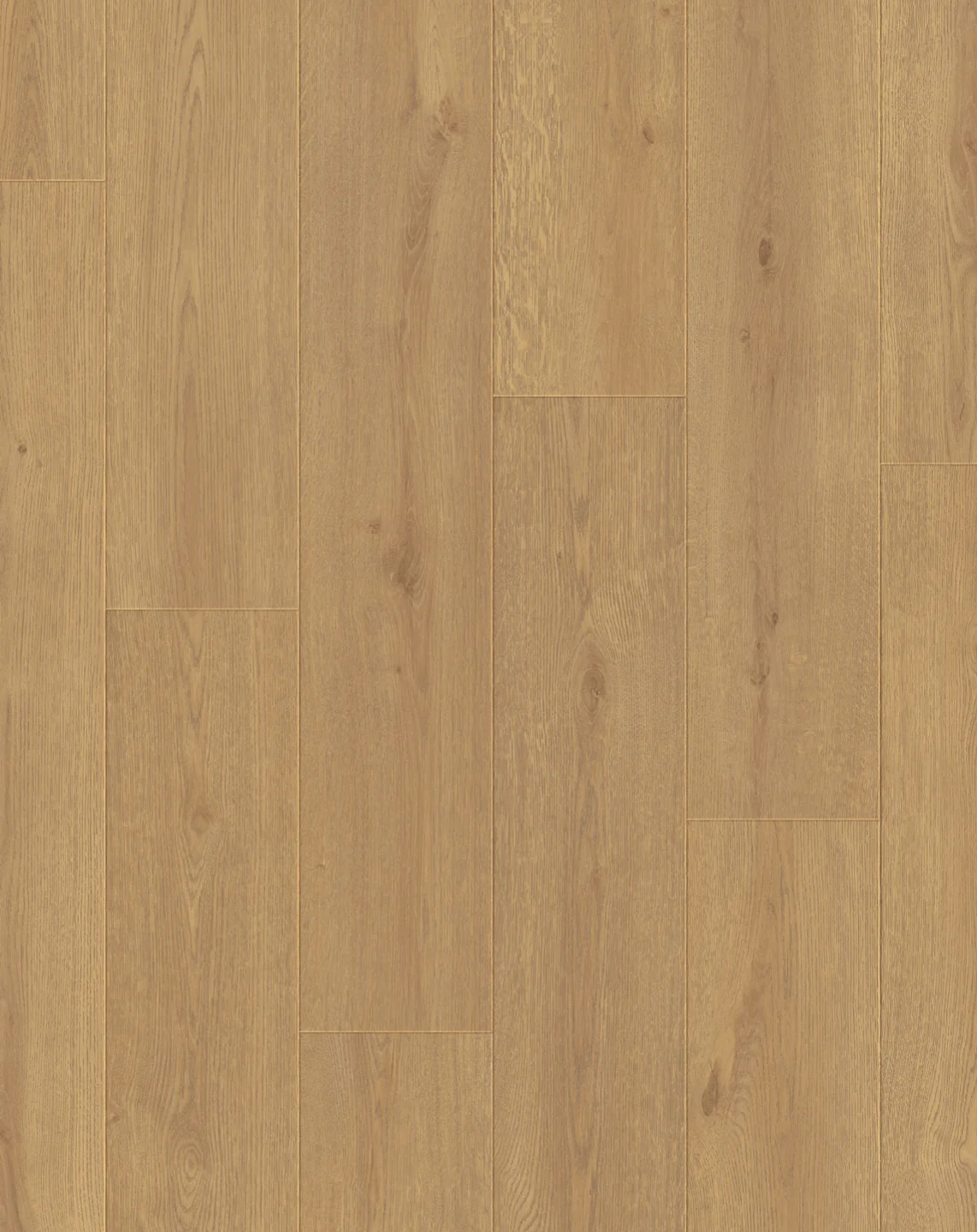 Reside Xpert Pro Moray - Image 6