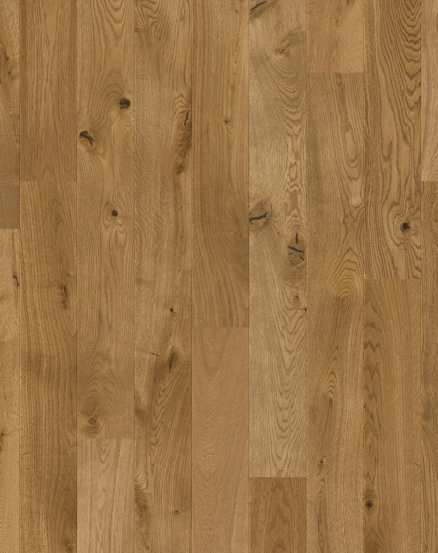 Xpert Pro Wellington Long Plank - Image 3