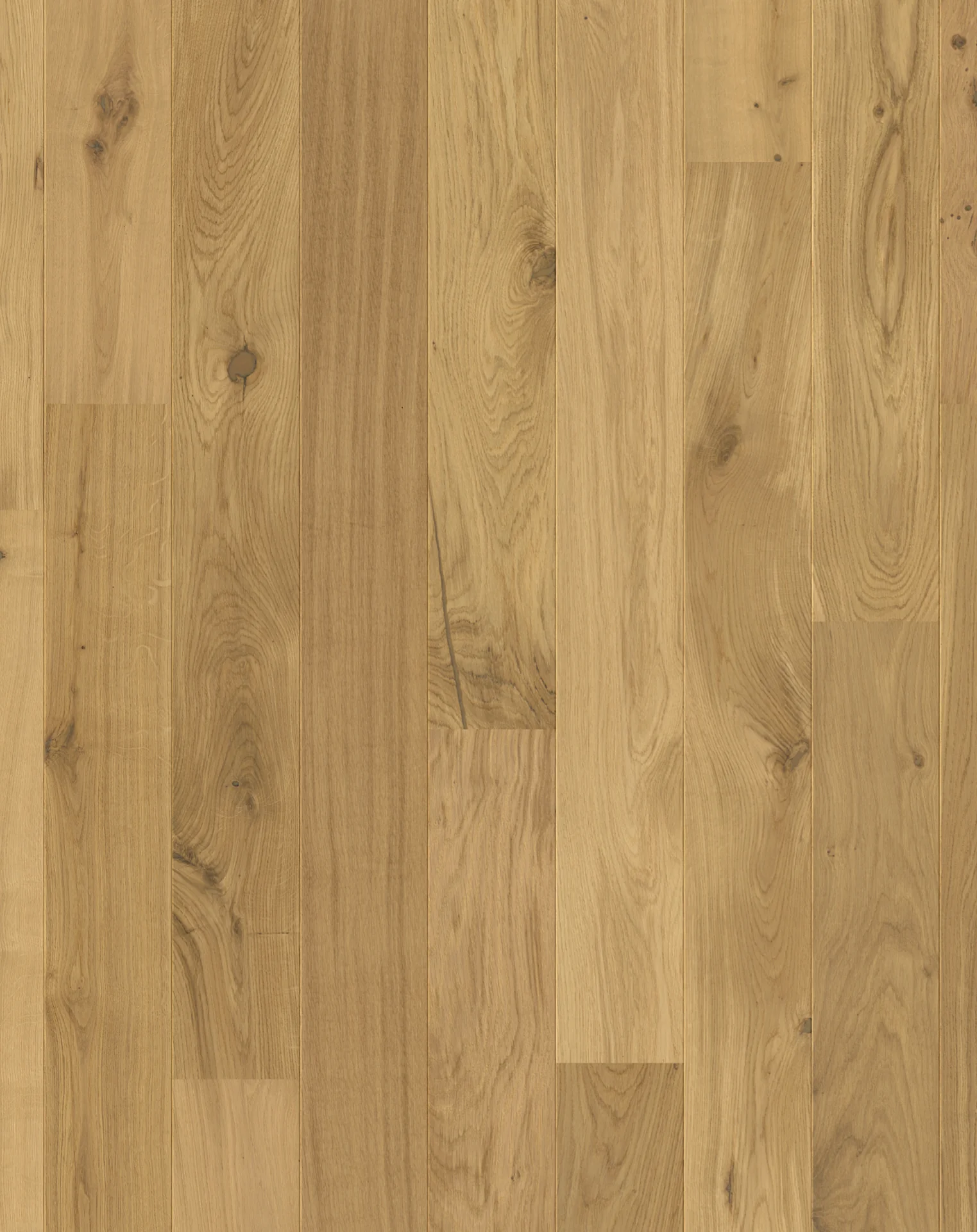 Xpert Pro Wellington Long Plank - Image 4