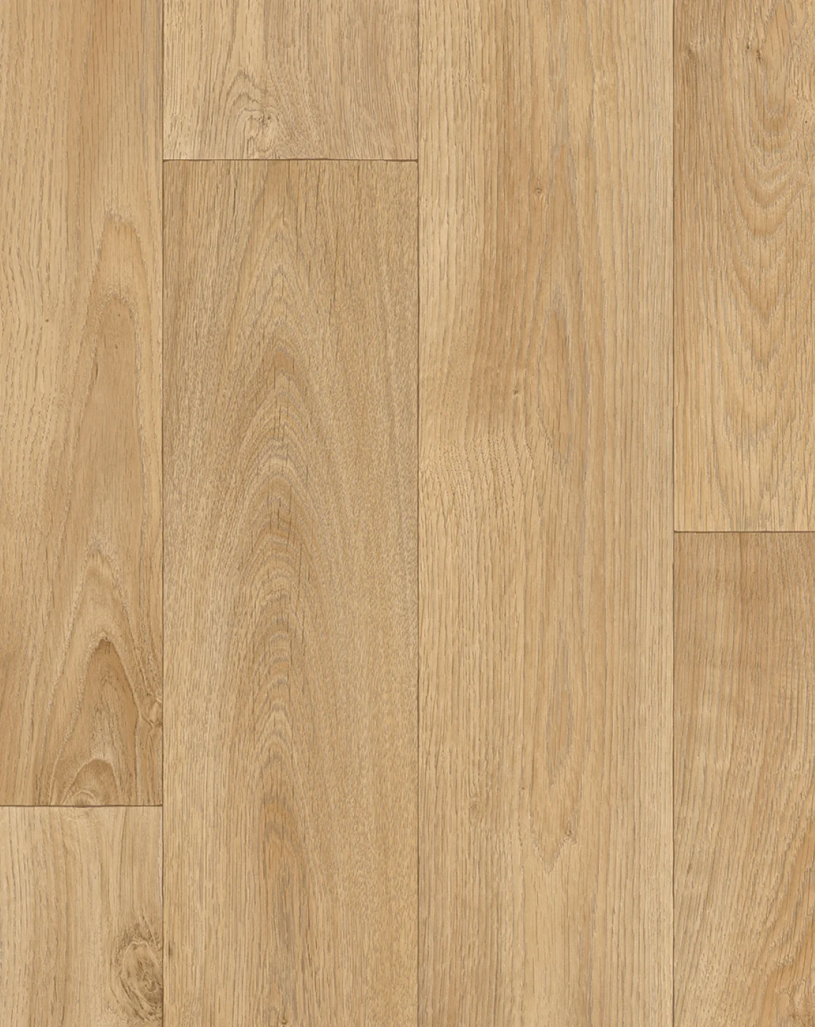 Select Plus - Image 6