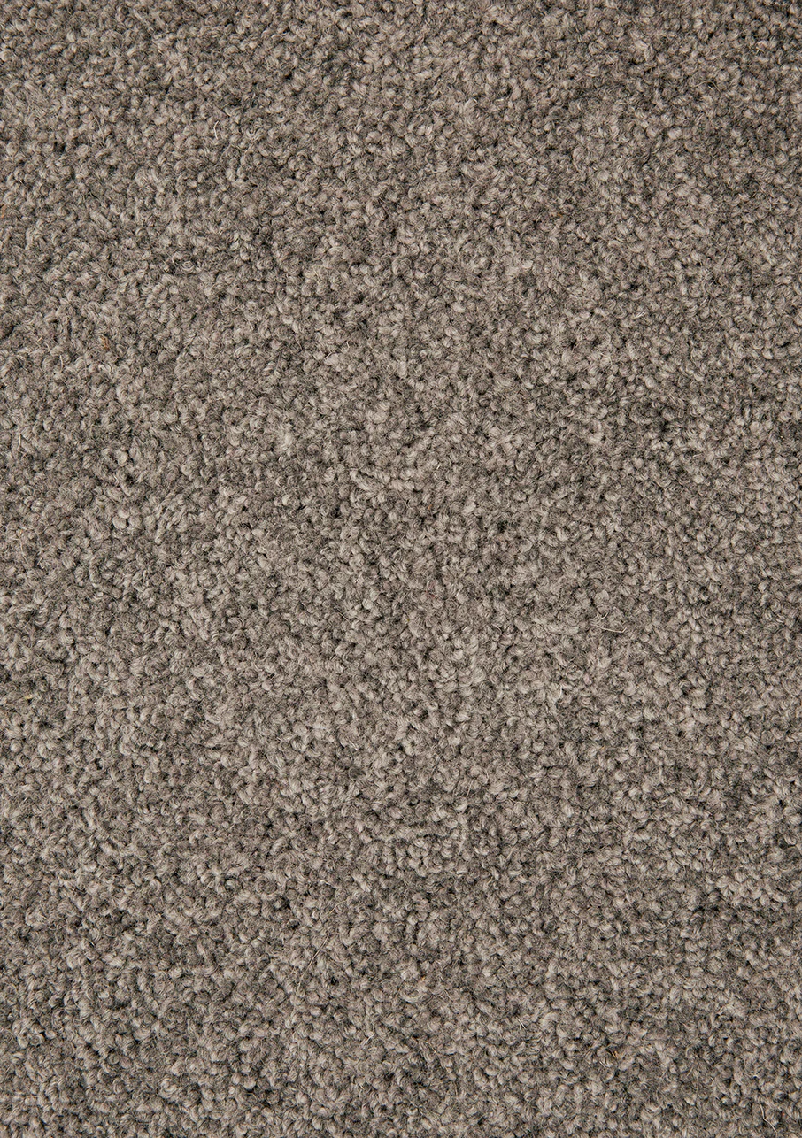 Shannon - Image 5