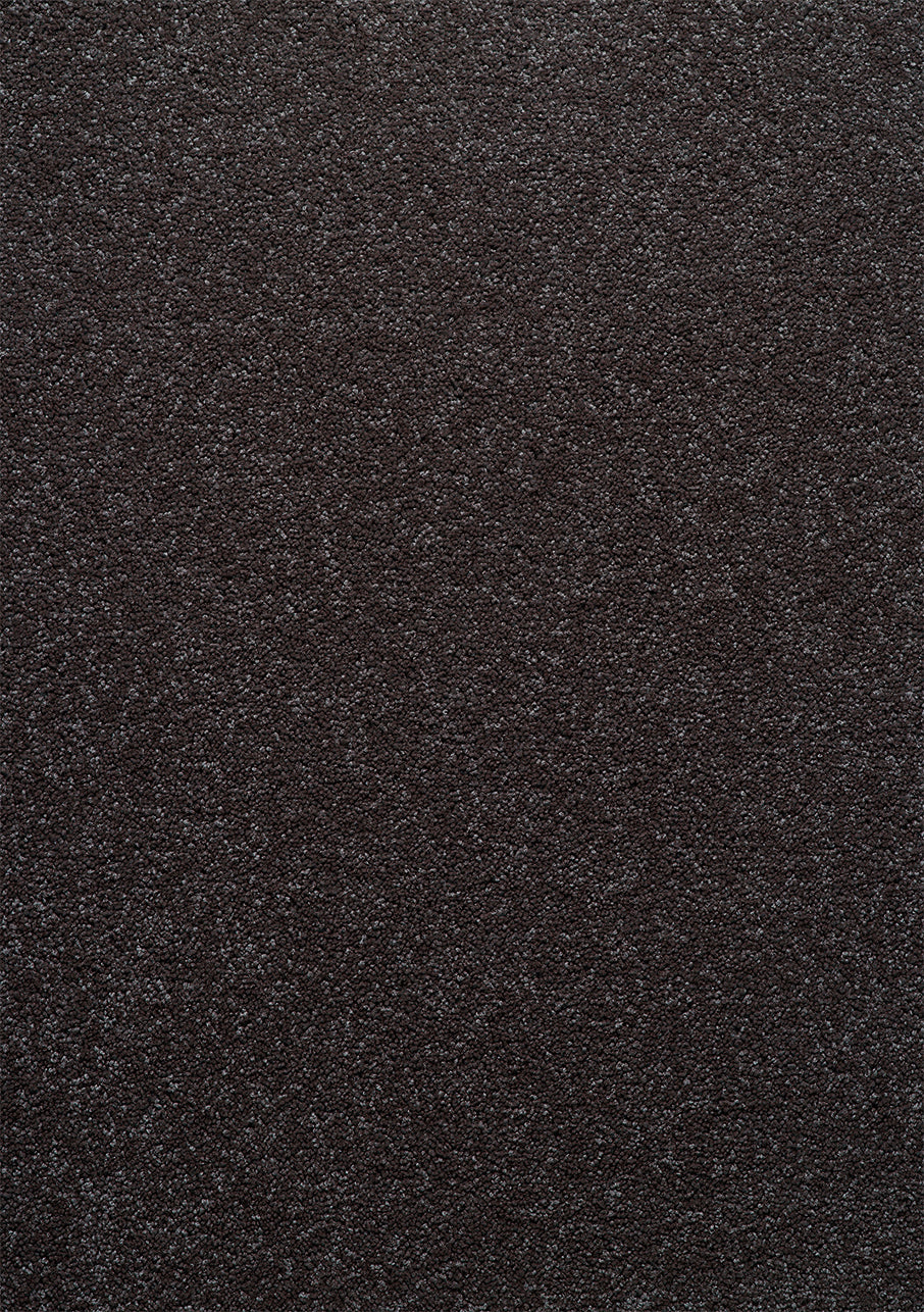 Sophora - Image 10