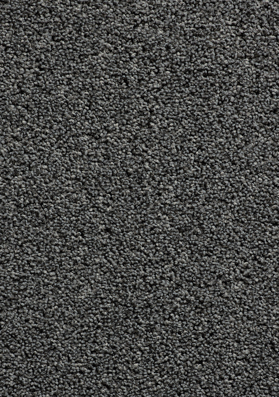 Sophora - Image 2