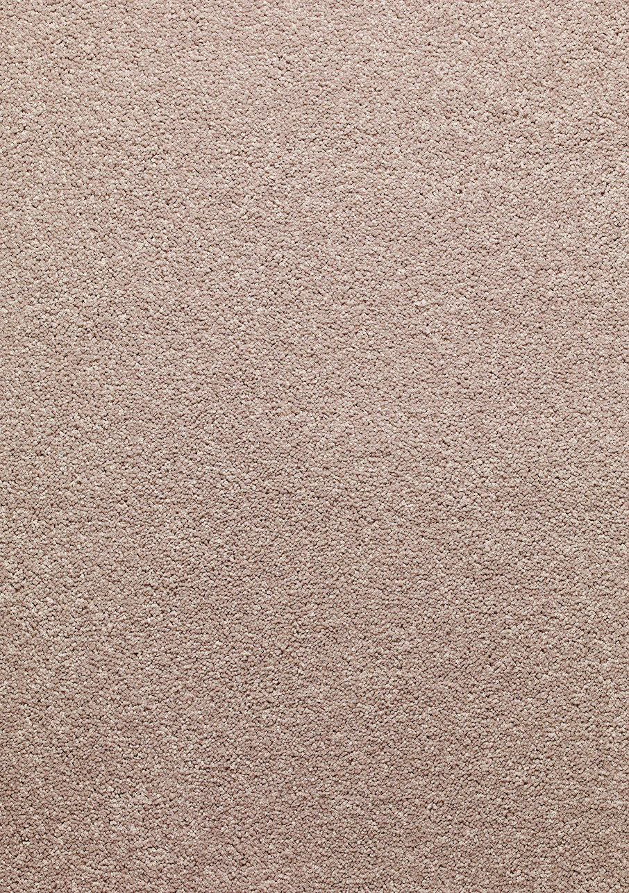 Sophora - Image 3