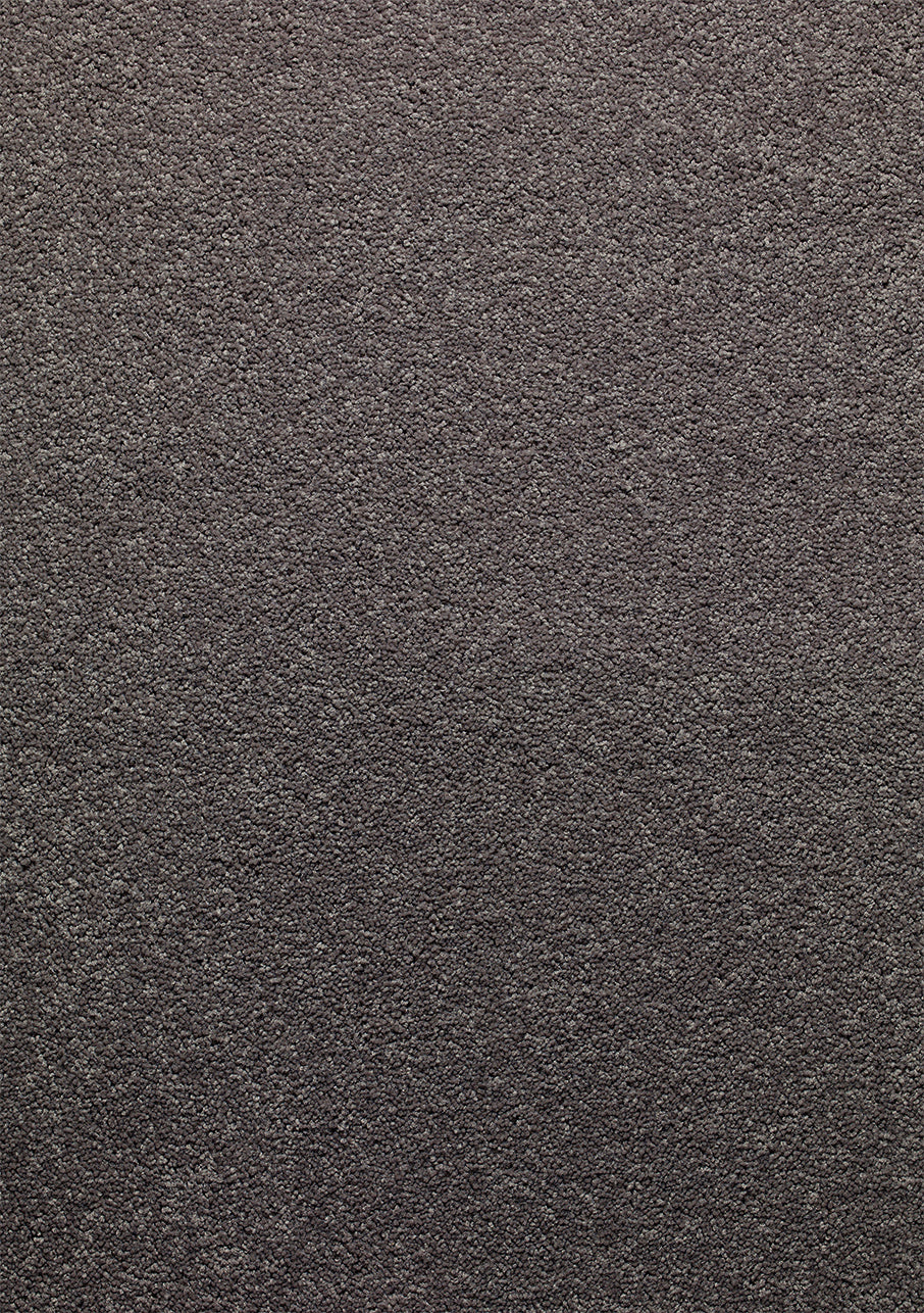 Sophora - Image 5