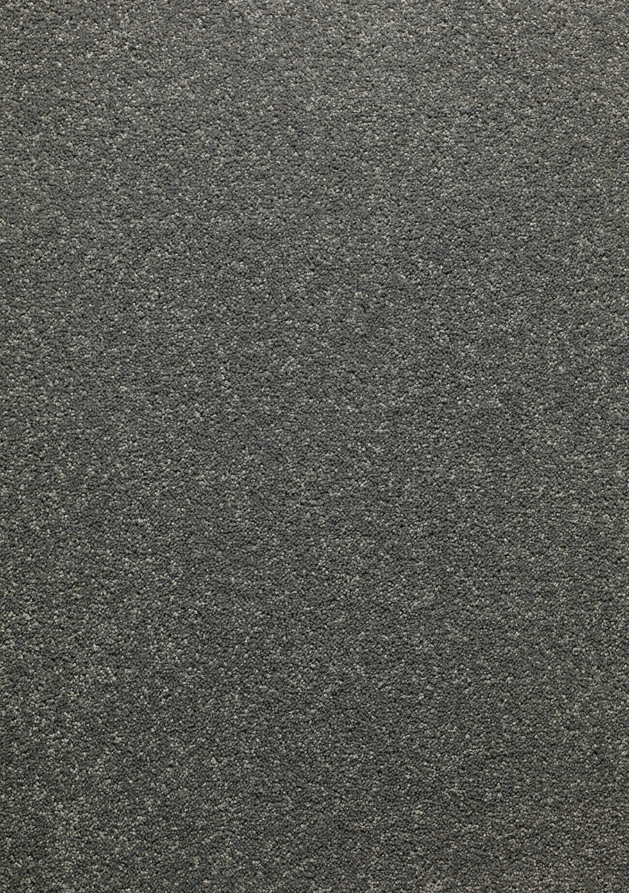 Sophora - Image 6