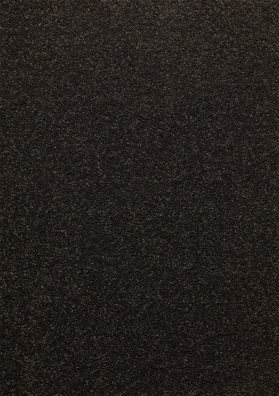 Sophora - Image 8