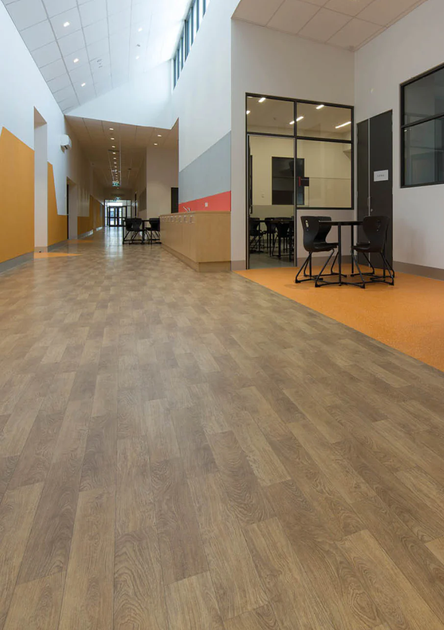 Timberline Plus - Image 19