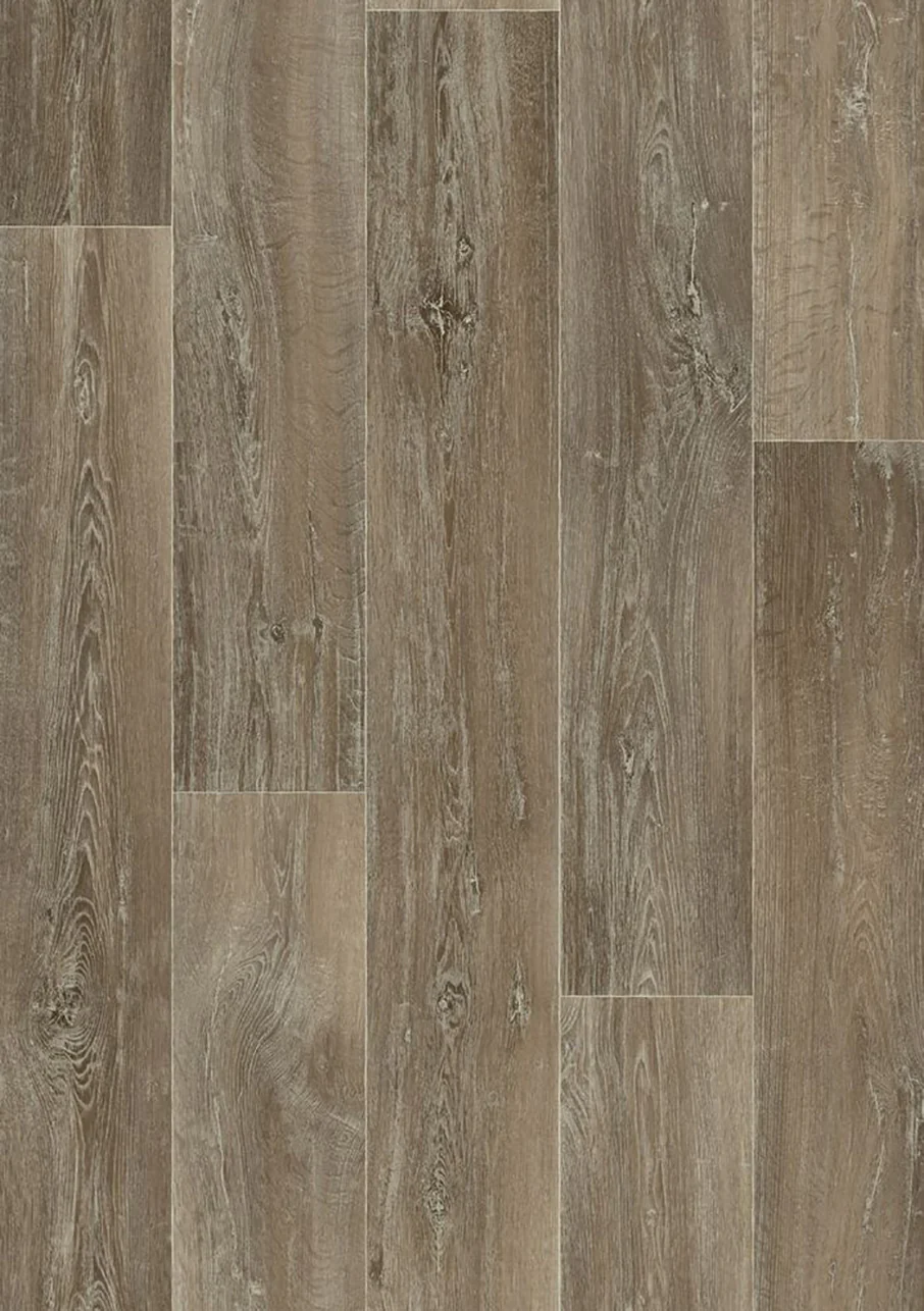 Trend TX - Image 4