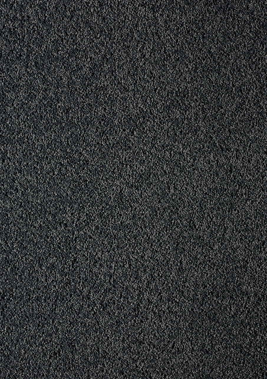 Akita - Image 10