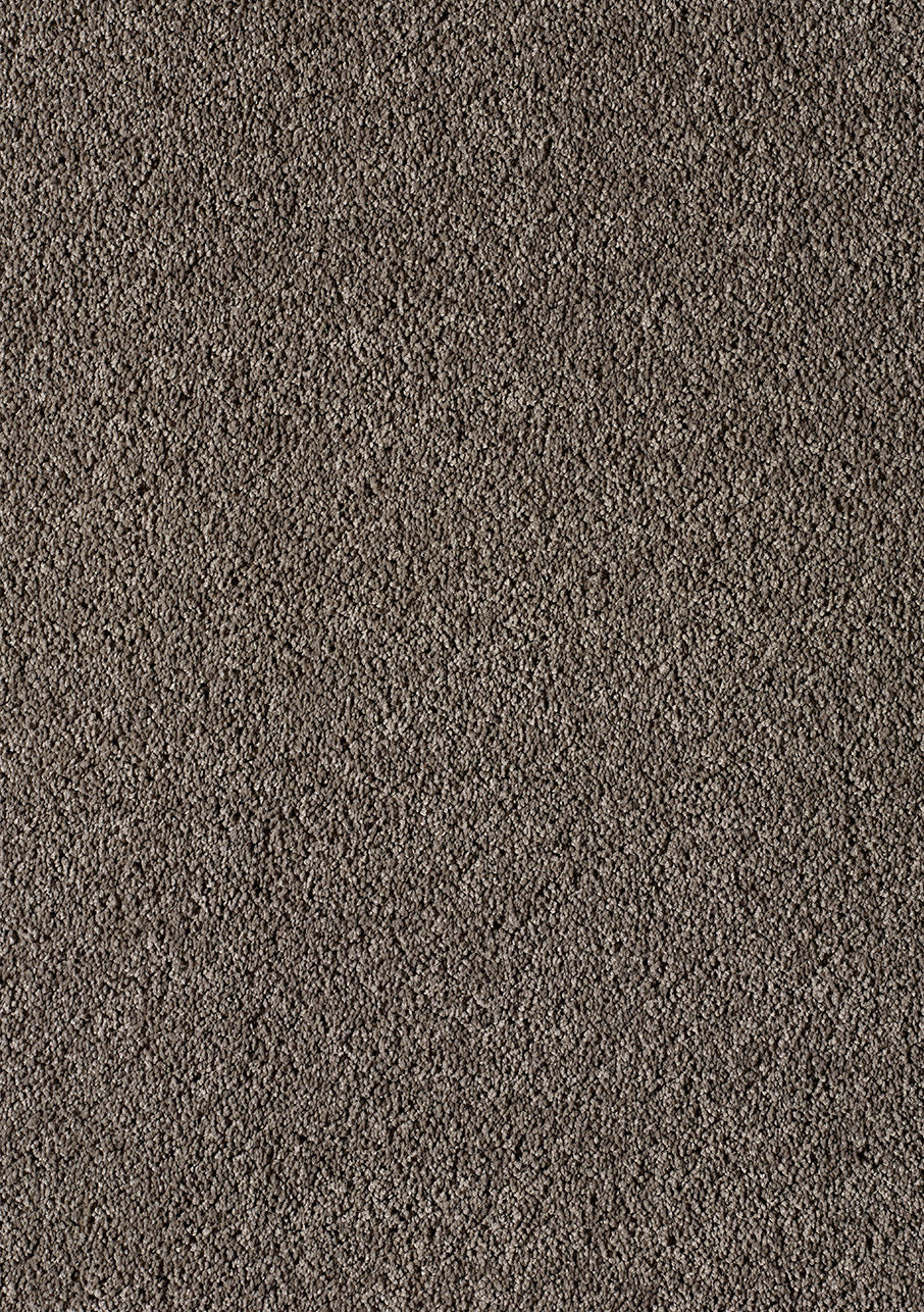 Akita - Image 11