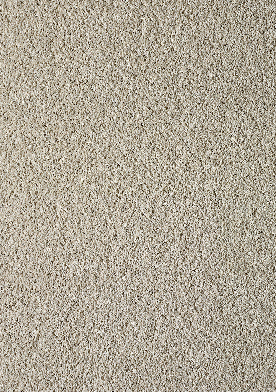 Akita - Image 12