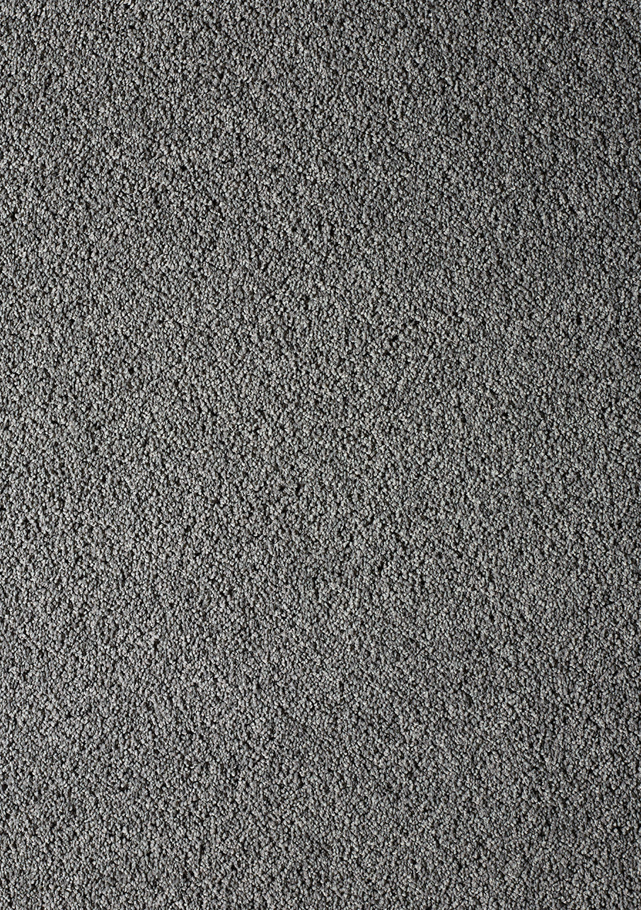 Akita - Image 6