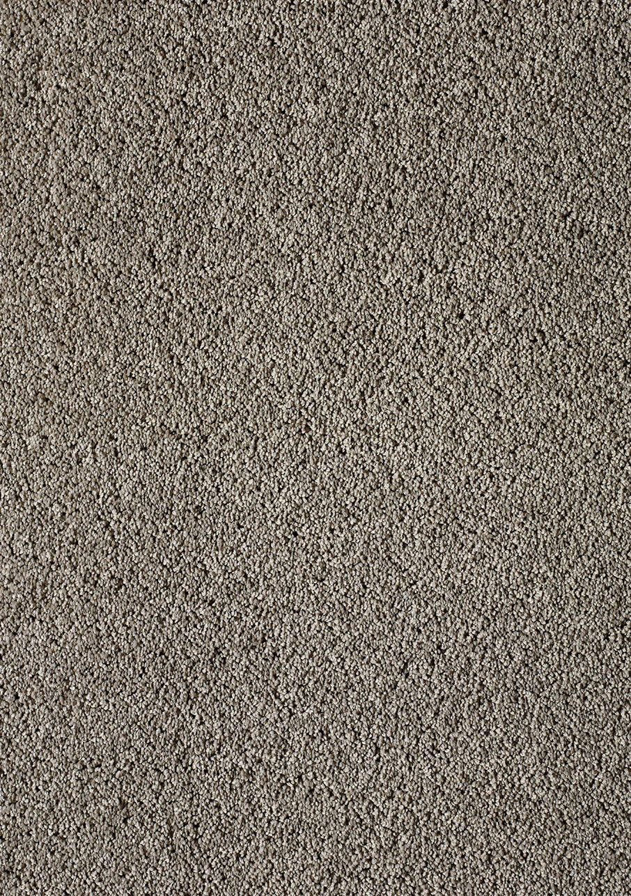 Akita - Image 8
