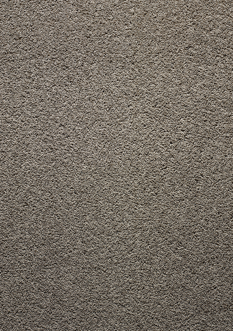 Birman - Image 3