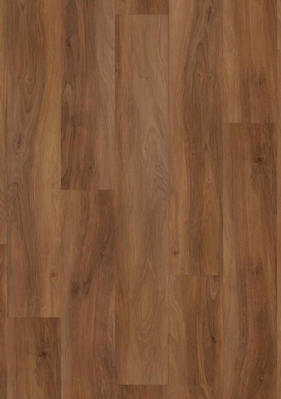 Van Gogh Plank - Image 14