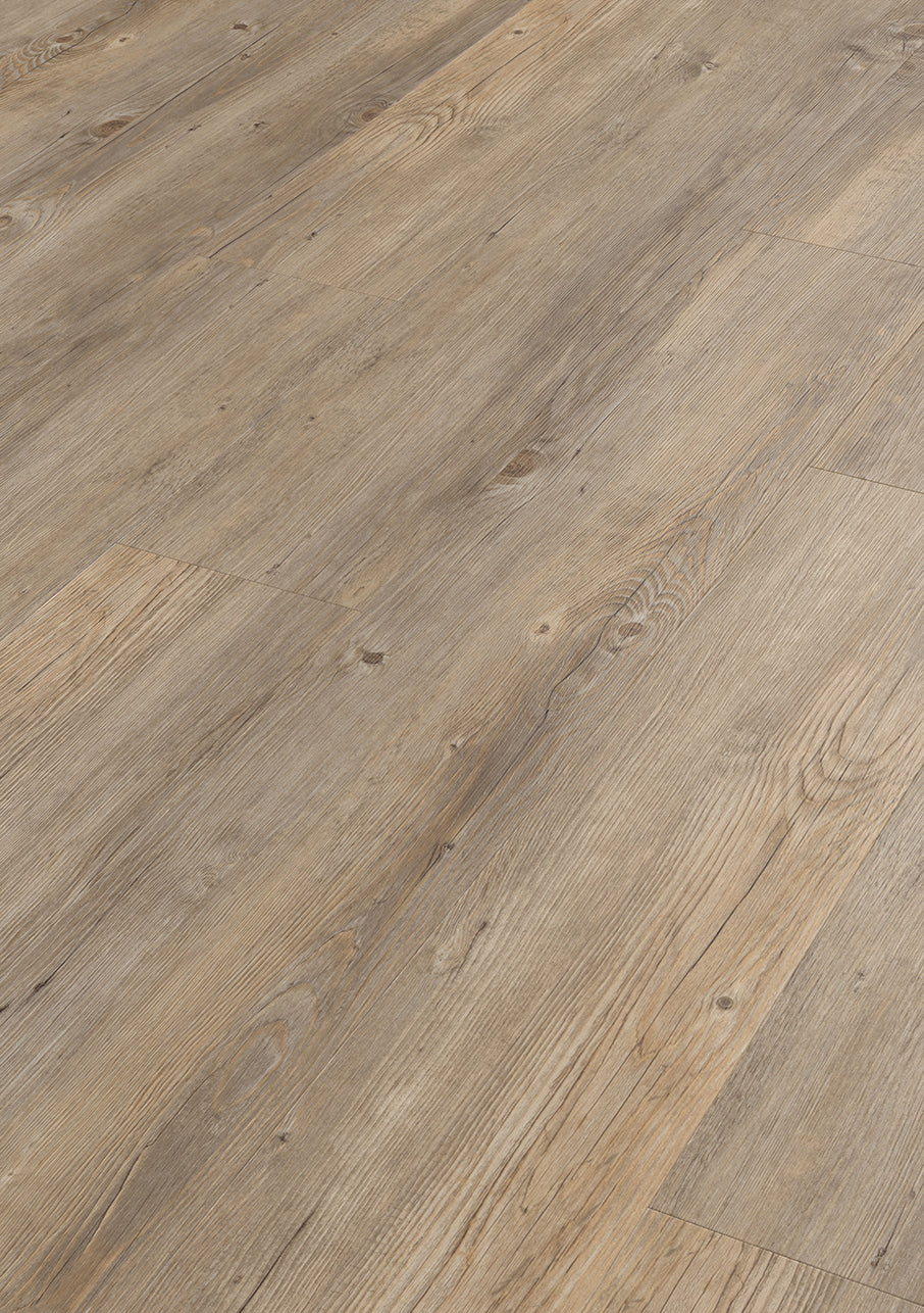 Van Gogh Plank - Image 16