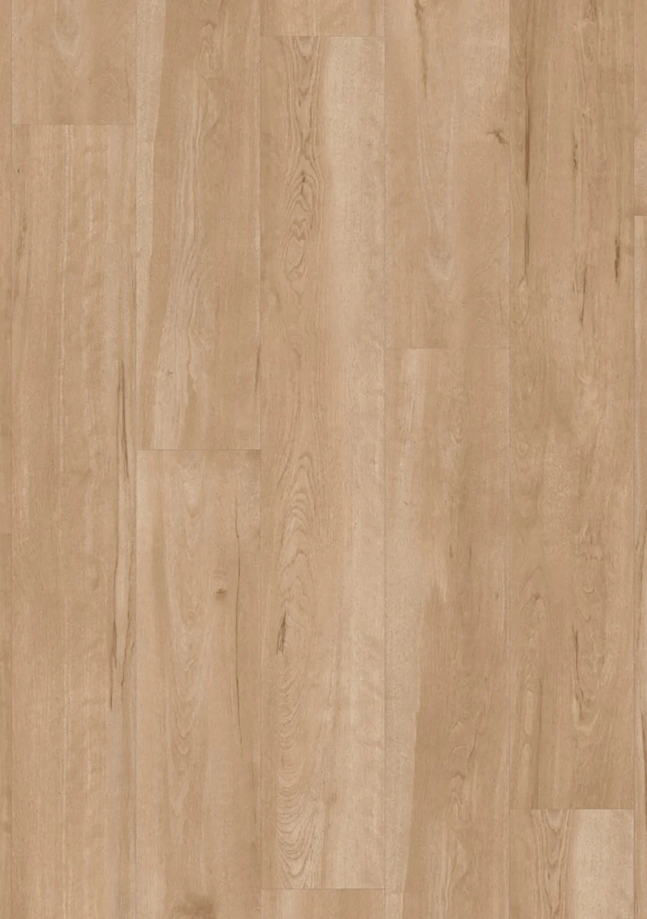 Van Gogh Plank - Image 3