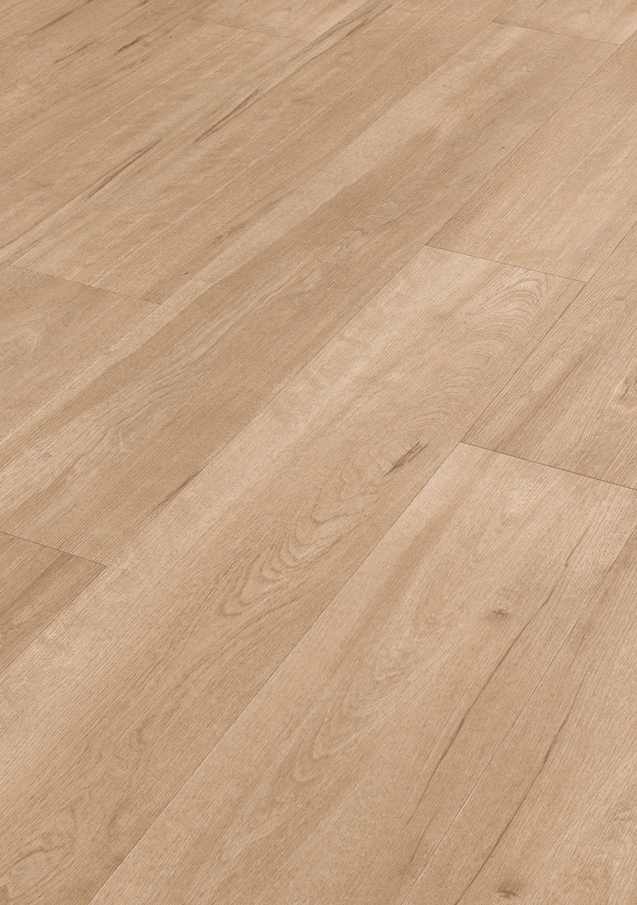 Van Gogh Plank - Image 37