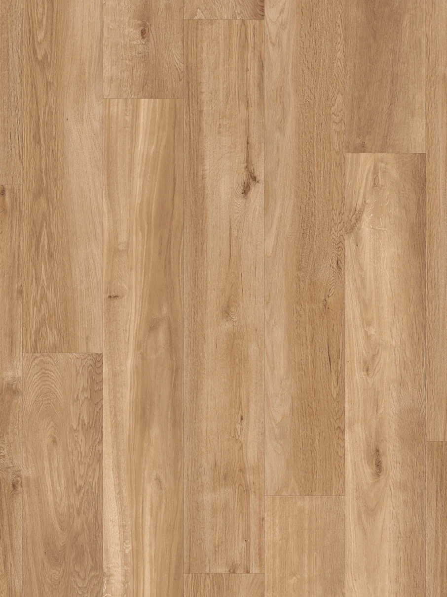 Van Gogh Plank - Image 4