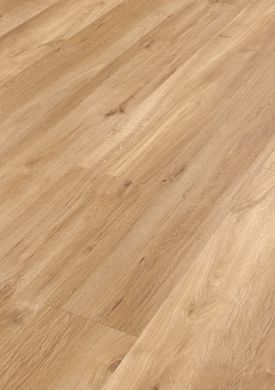 Van Gogh Plank - Image 45