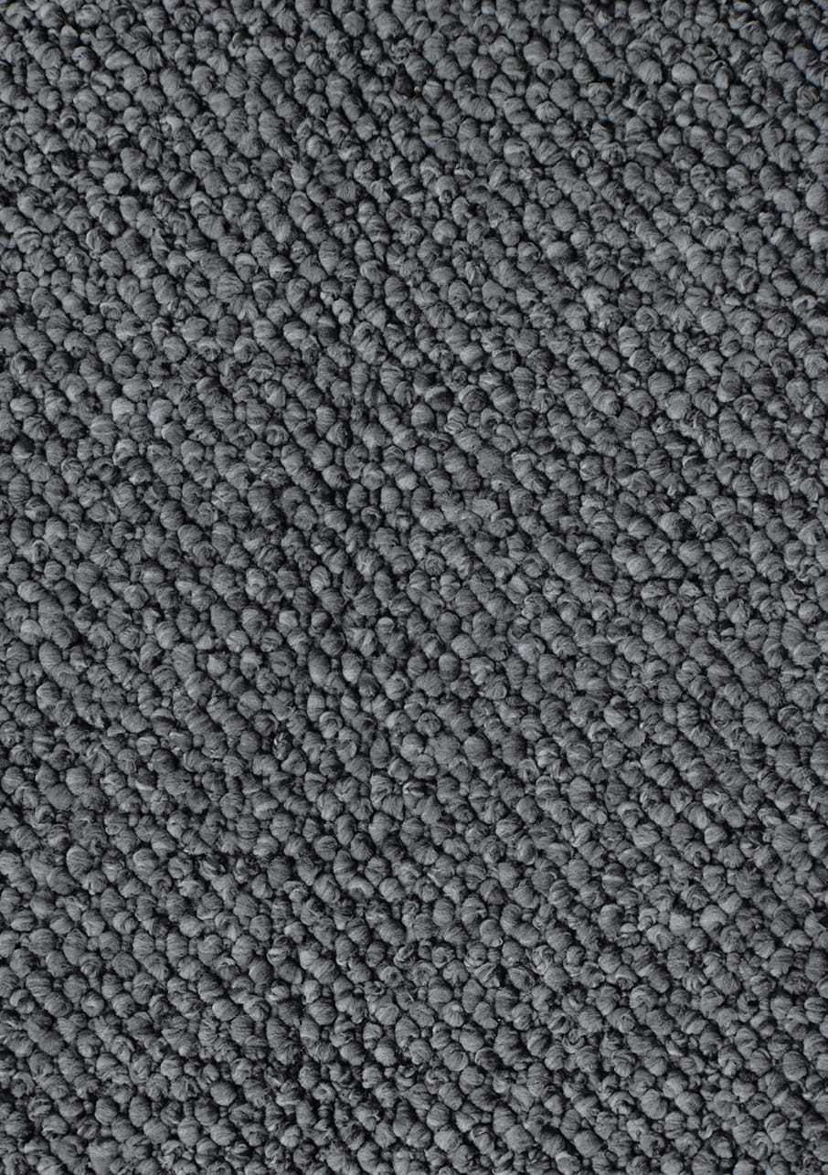 Waikawa Bay - Image 8