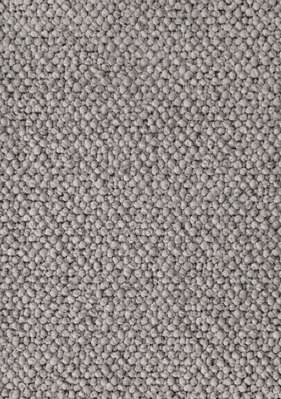 Waikawa Bay - Image 9