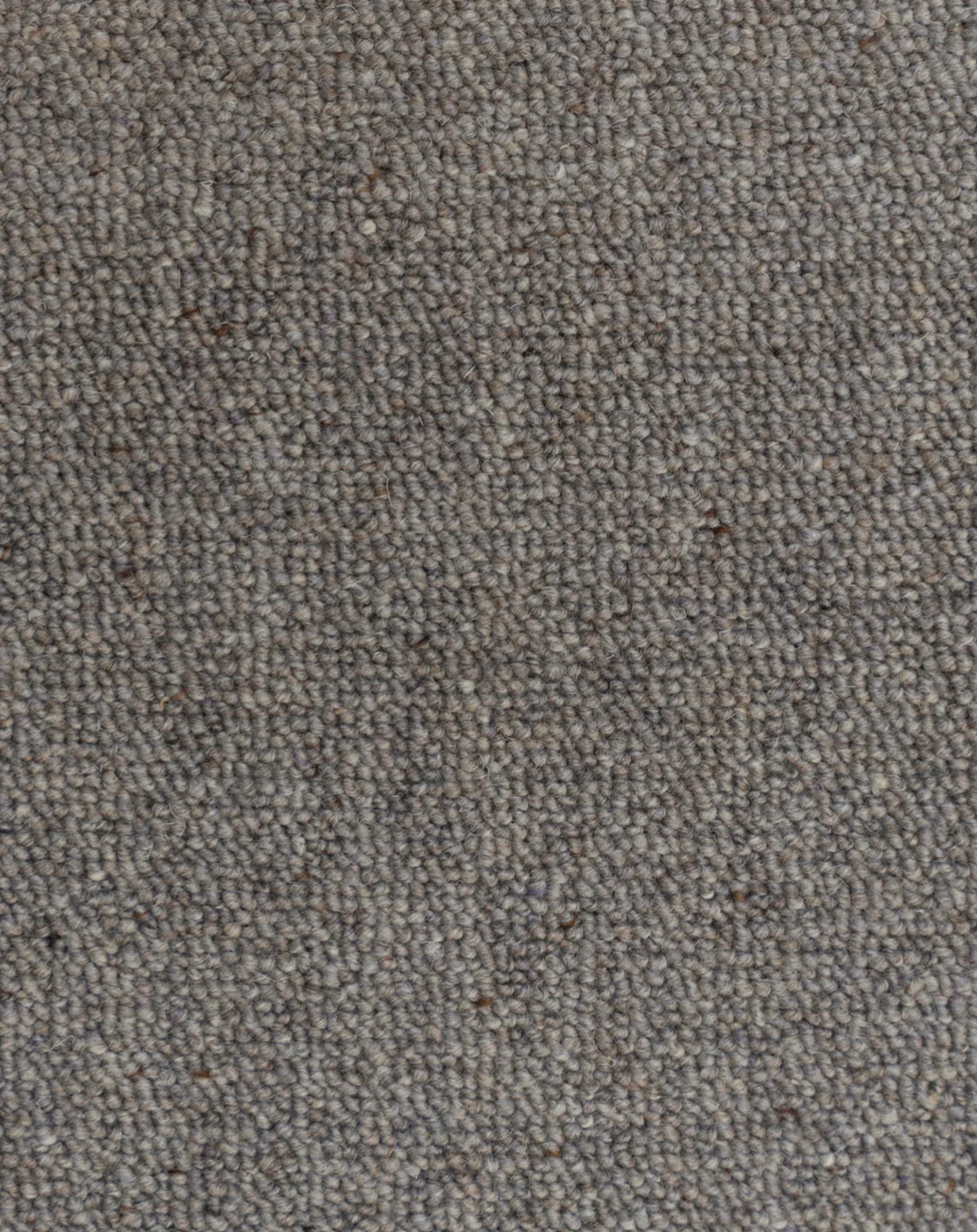 Wairakei - Image 3
