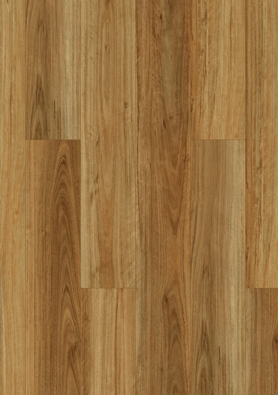 Xpert Pro Tasman Classic - Image 3