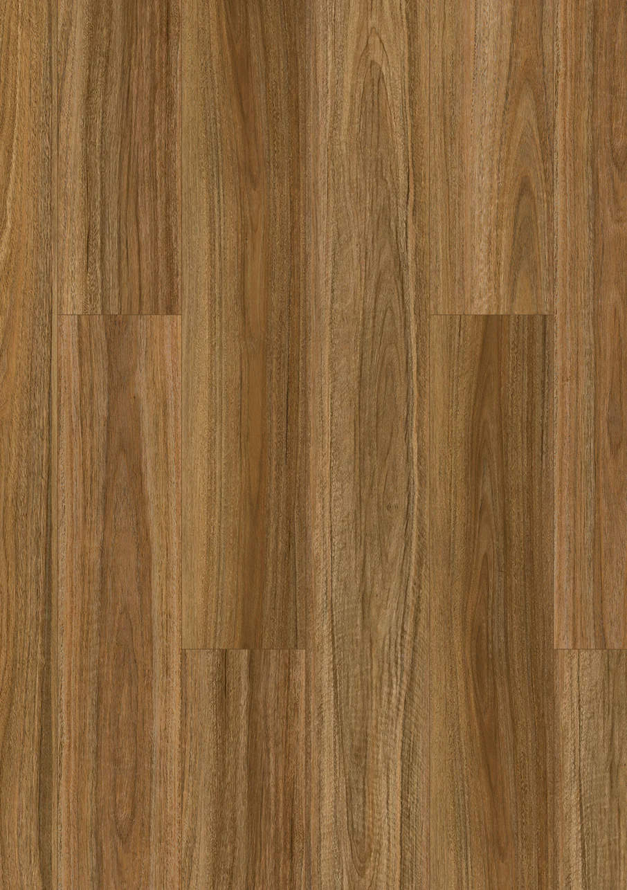 Xpert Pro Tasman Classic - Image 7