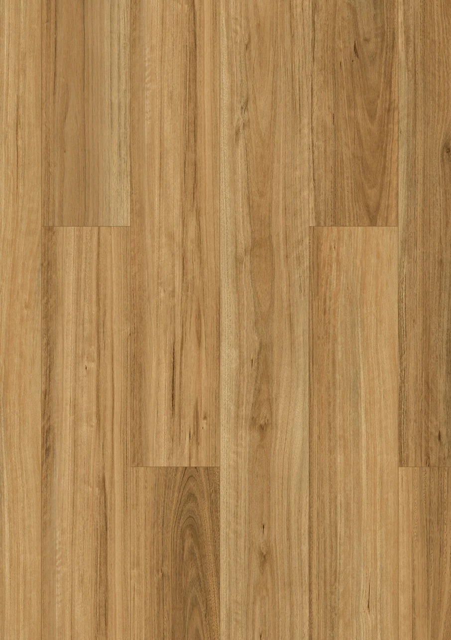 Xpert Pro Tasman Classic - Image 8