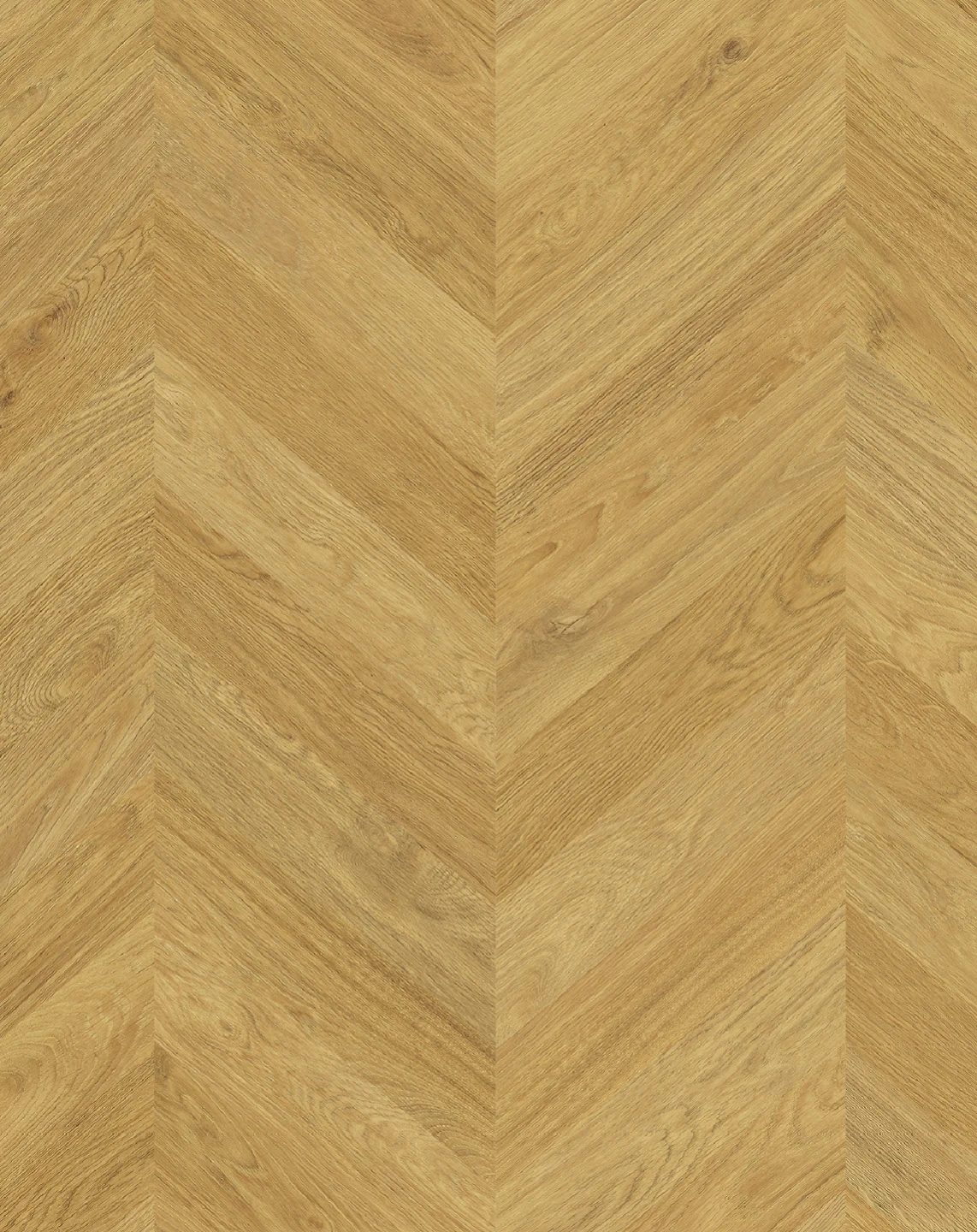 Zenku Artec - Image 3
