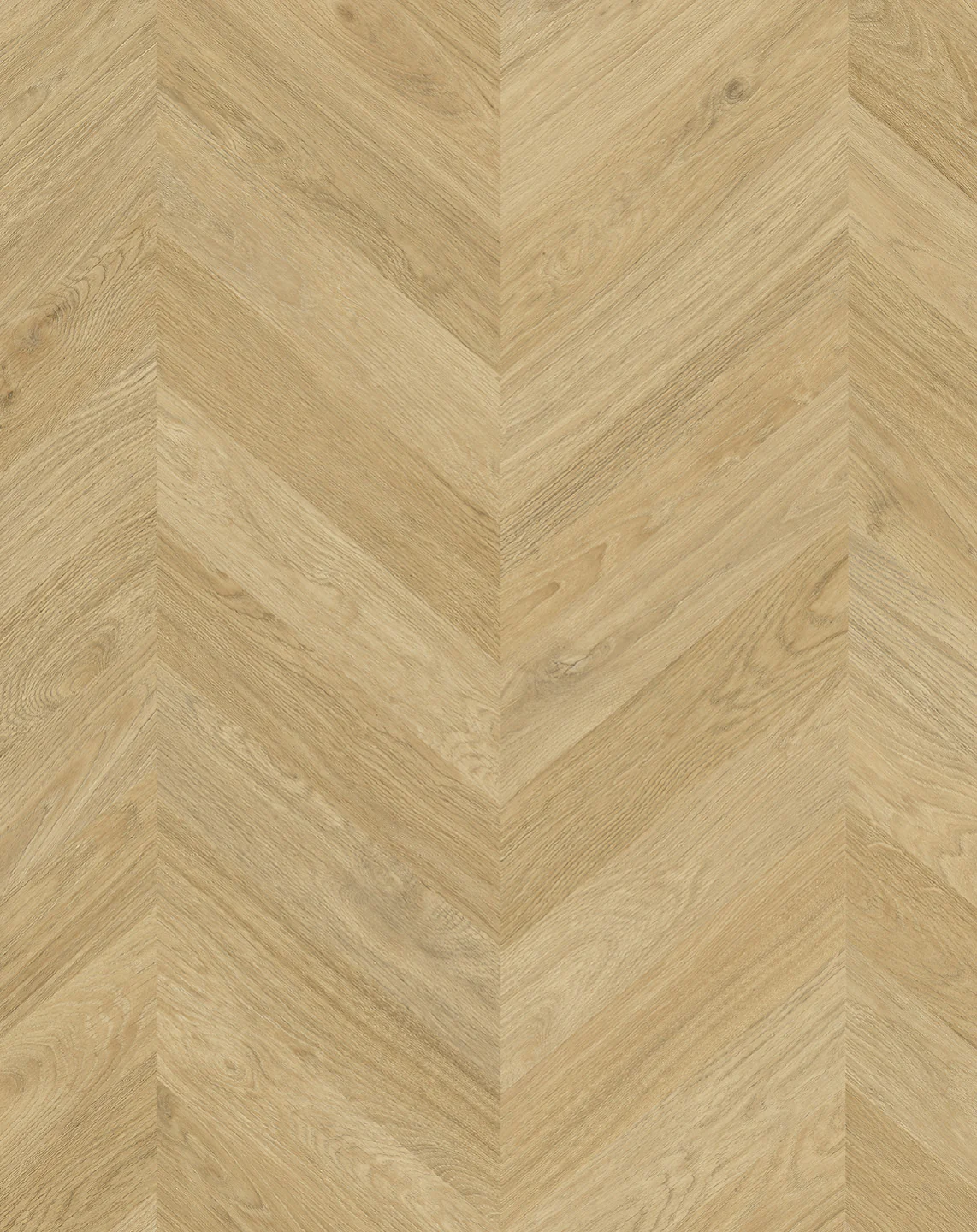 Zenku Artec - Image 4